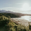 Golden New Zealand